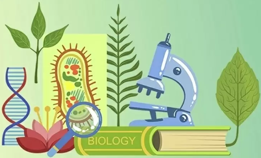 ЕГЭ по химии и биологии